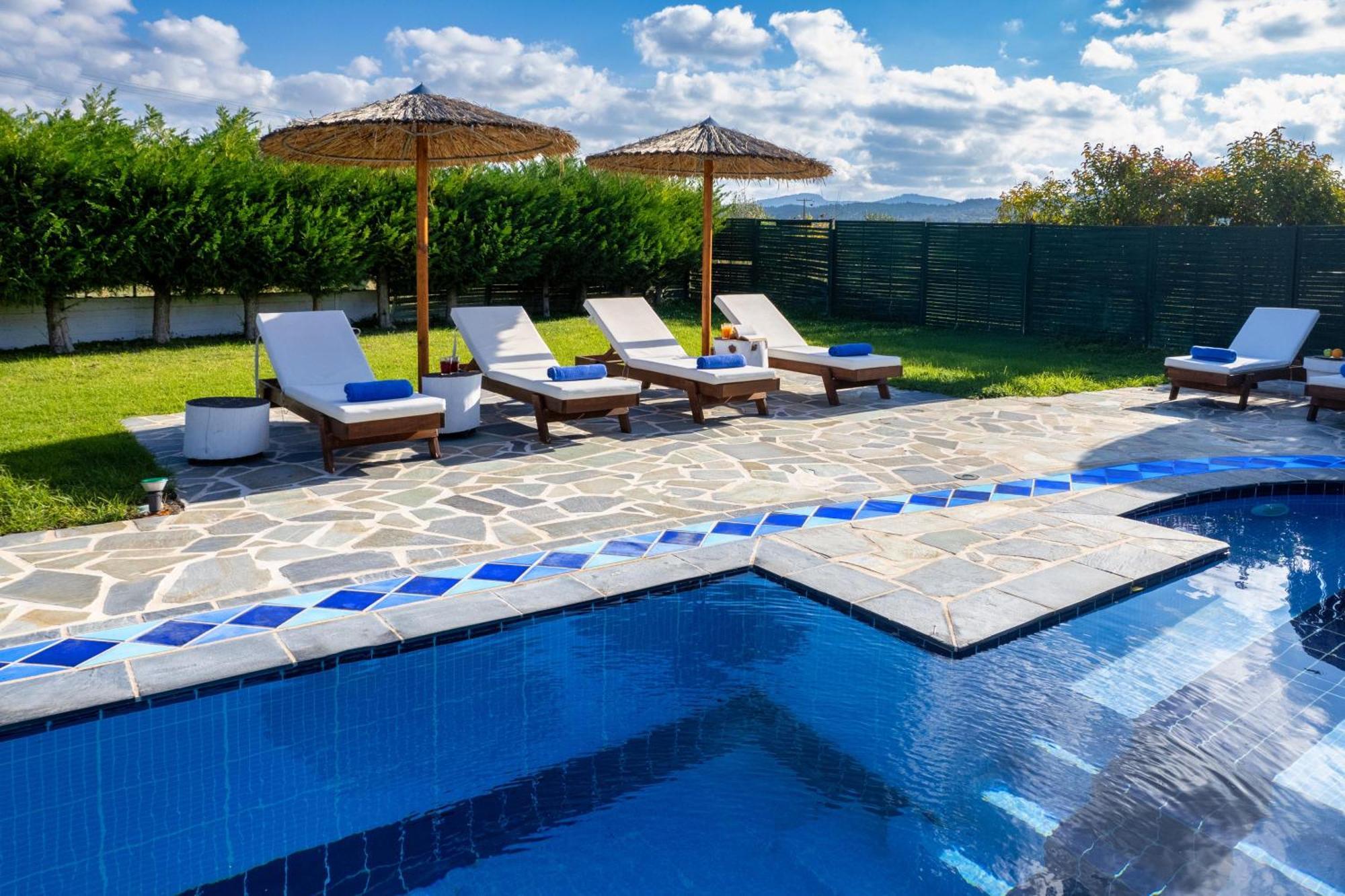Palmeras Villaer *
